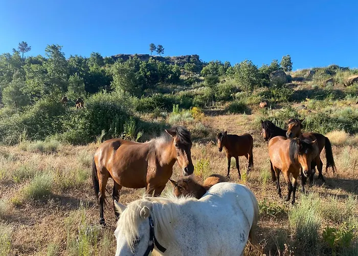 Vale Do Gavim, Moitas Casa vacanze *